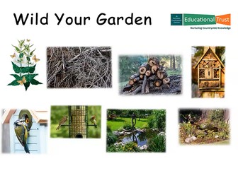 Conservation Fact File7-Wild Your Garden