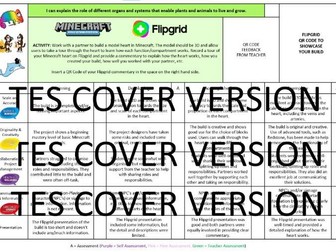 Minecraft Rubric - Circulatory System