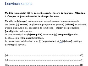 IGCSE EDEXEL French Grammar task: tenses, adjectival agreements booklet 1