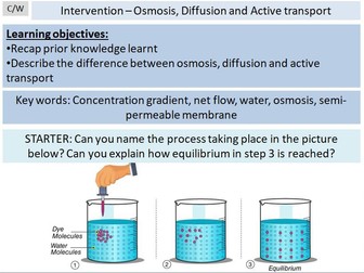 Revision Diffusion, Osmosis and Active transport