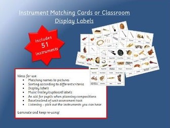 Instrument Matching Cards or Music Display / Organisational Labels