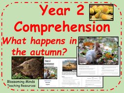 What happens in the autumn? - Comprehension - Year 2