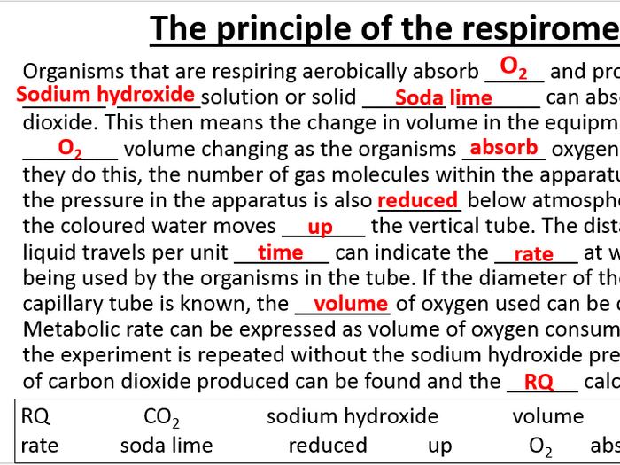 New A Level Biology OCR Respiration Bundle | Teaching Resources