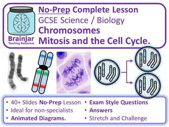 Chromosomes, Cell Cycle, Mitosis