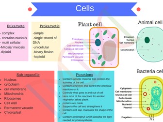 B1 Cell biology revision notes GCSE AQA 9-1