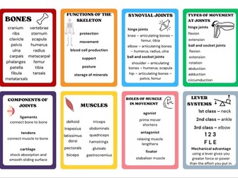 GCSE PE OCR revision cards Paper 1