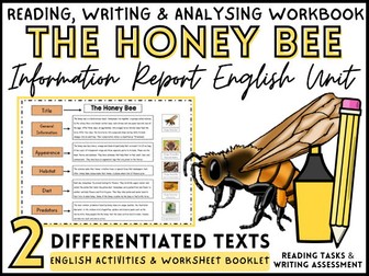 Honey Bee Information Texts, Report Paragraph Writing & Reading Analysis Tasks