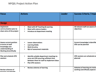 NPQSL Action Plan 2020