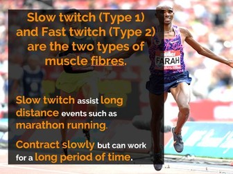 GCSE PE - Component 1 - Applied Anatomy and Physiology - Muscular System (Edexcel new Specification)