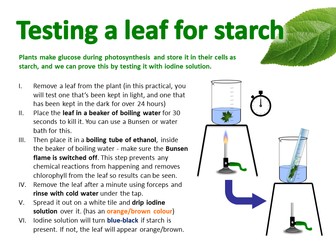 Photosynthesis, uses of glucose and the test for Starch - 2E Edexcel IGCSE Biology (Plant Nutrition)