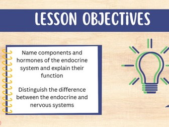 T Level Health - The Endocrine System