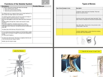 AQA GCSE PE Anatomy and Physiology Worksheets/Workbook