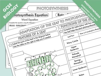 GCSE Biology: Photosynthesis Worksheet Pack