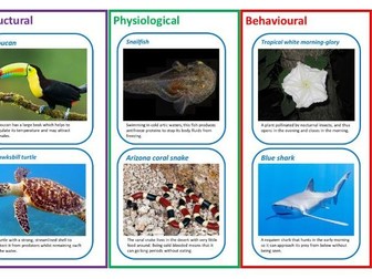 Adaptations introduction
