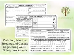 GCSE Biology - Variation, Selective Breeding and Genetic Engineering