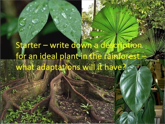 Ecosystems Scheme of Work - Year 8