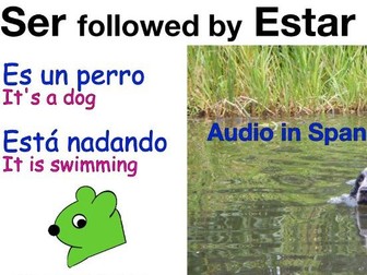 Ser + Estar and the Present Continuous