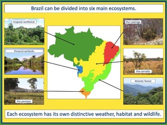 Exploring Brazil's ecosystems - KS2