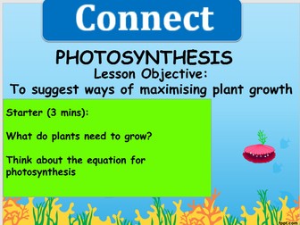 Photosynthesis limiting factors