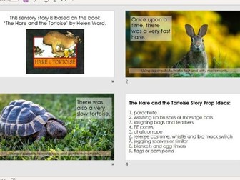Hare and Tortoise Sensory Story