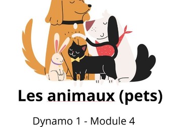 As-tu un animal? Y7 Dynamo 1
