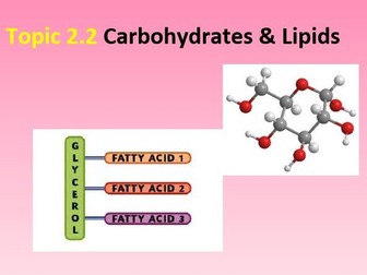 Carbohydrates & Lipids [Biology 9700]