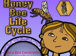 STEM - Be a Bee Detective - Life Cycle, Biomimicry, Inspiration for Ideas