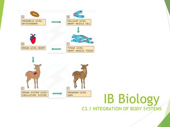 IB Biology 2025 syllabus Topic C3.1