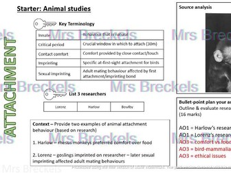 Attachment (AQA A-level Psychology 2025-) - Recap starter/do now worksheets with answers