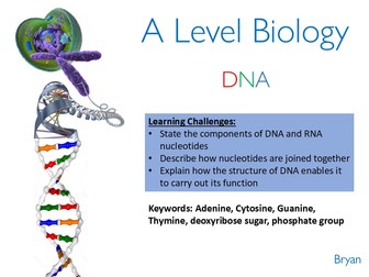 OCR A level Biology - DNA and Protein Synthesis