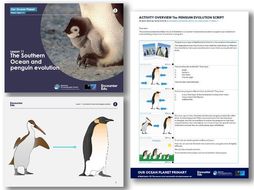 Evolution and penguins KS2 Science | Teaching Resources