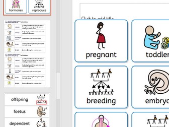 Year 5 Science Life Cycles widgit Key Vocabulary