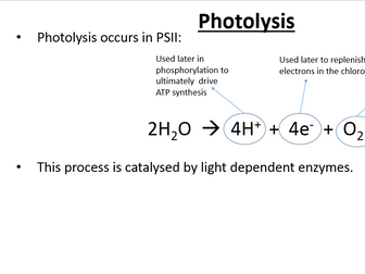New Biology A Level OCR 5.6.3 The light dependent stage