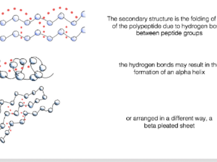 protein structure ppt