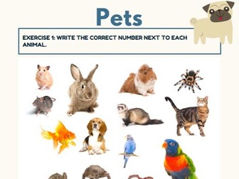 vocabulary pets