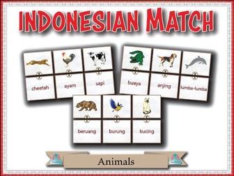 Indonesian Match - Animals