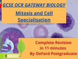 A level biology cell division questions image