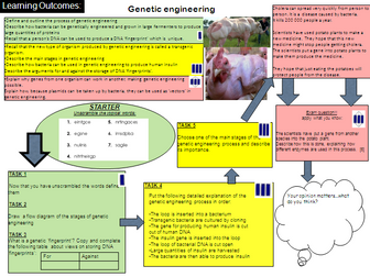 Genetic engineering - learning mat