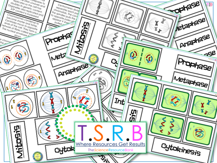 Full Meiosis And Mitosis Resource Bundle (Edexcel Biology B) | Teaching ...