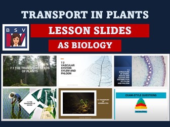 PLANTS TRANSPORT AS FULL UNIT