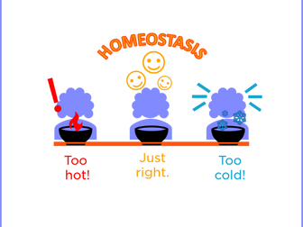 CCEA Life and Health Sciences Homeostasis