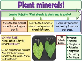 Plant Minerals KS3 Activate Science