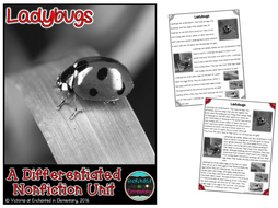 Differentiated Nonfiction Unit: Ladybugs