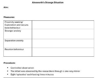 Strange Situation information sheet