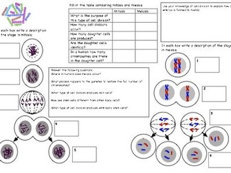 Cell division GCSE revision worksheet