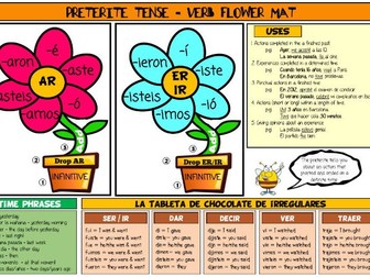 Spanish Preterite Revision Mat and Display