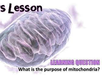 Animal Cells and Mitochondria