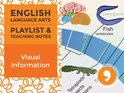 Visual Information - Playlist and Teaching Notes