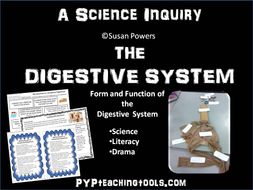 The Digestive System - A Science Inquiry