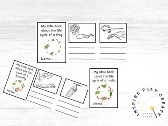 My little book about life cycles - frog, butterfly and moth